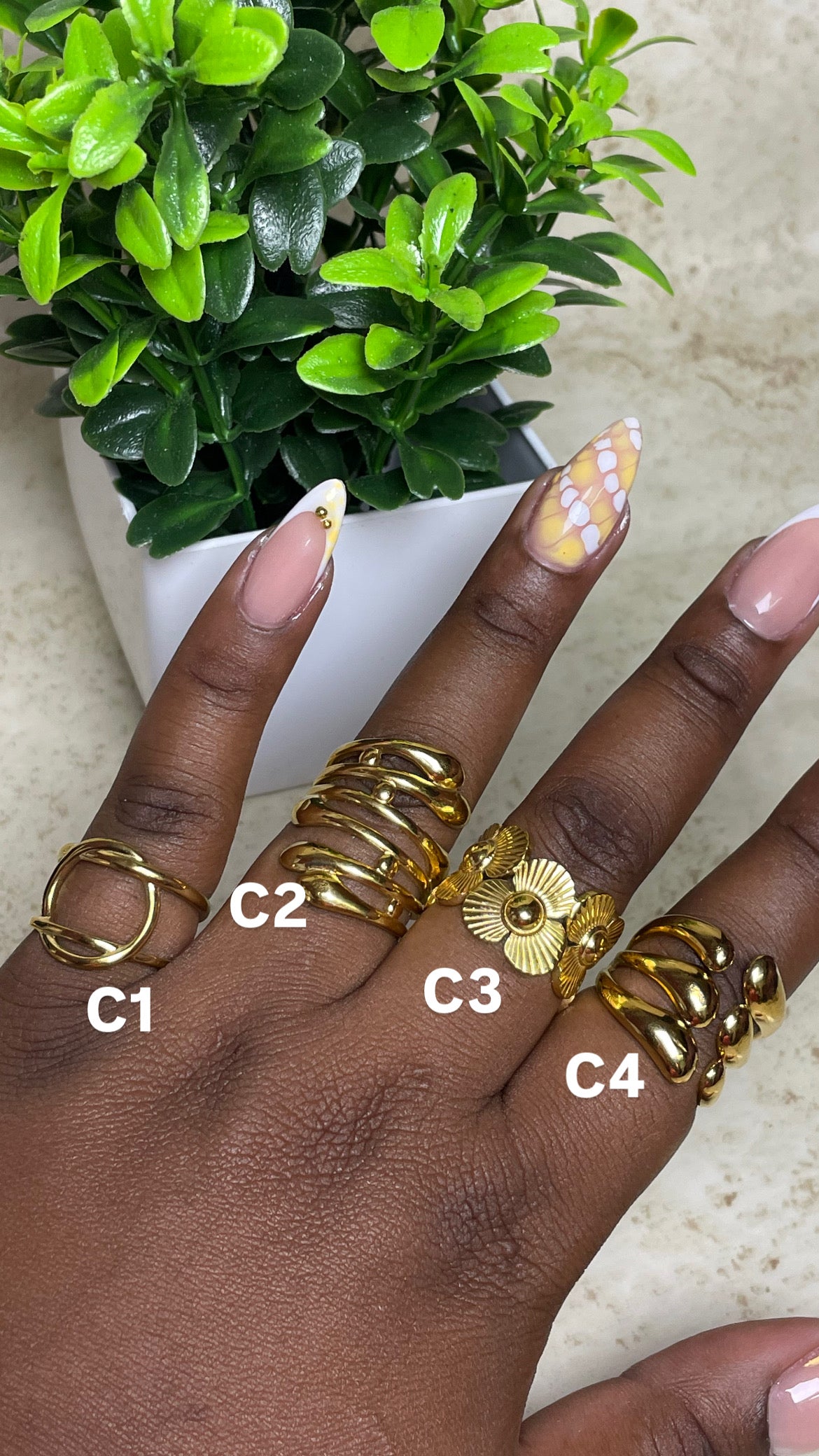 Collection C