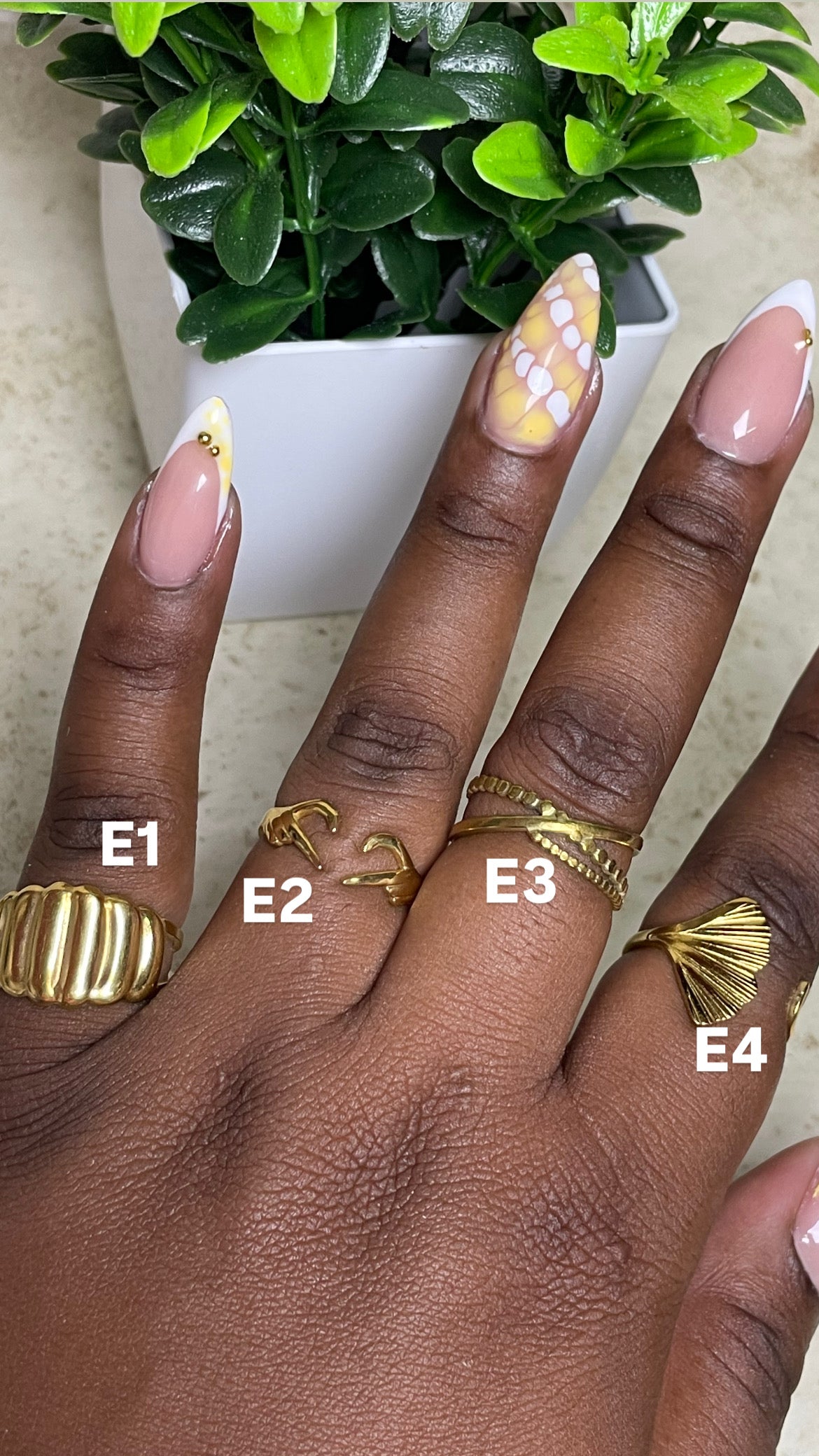 Collection E