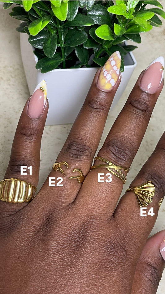 Collection E