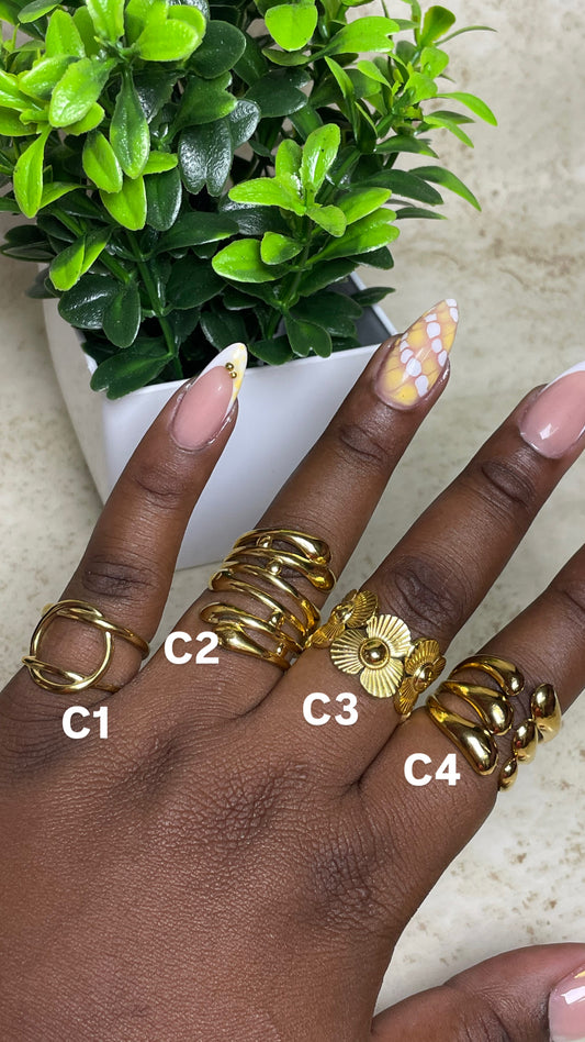 Collection C