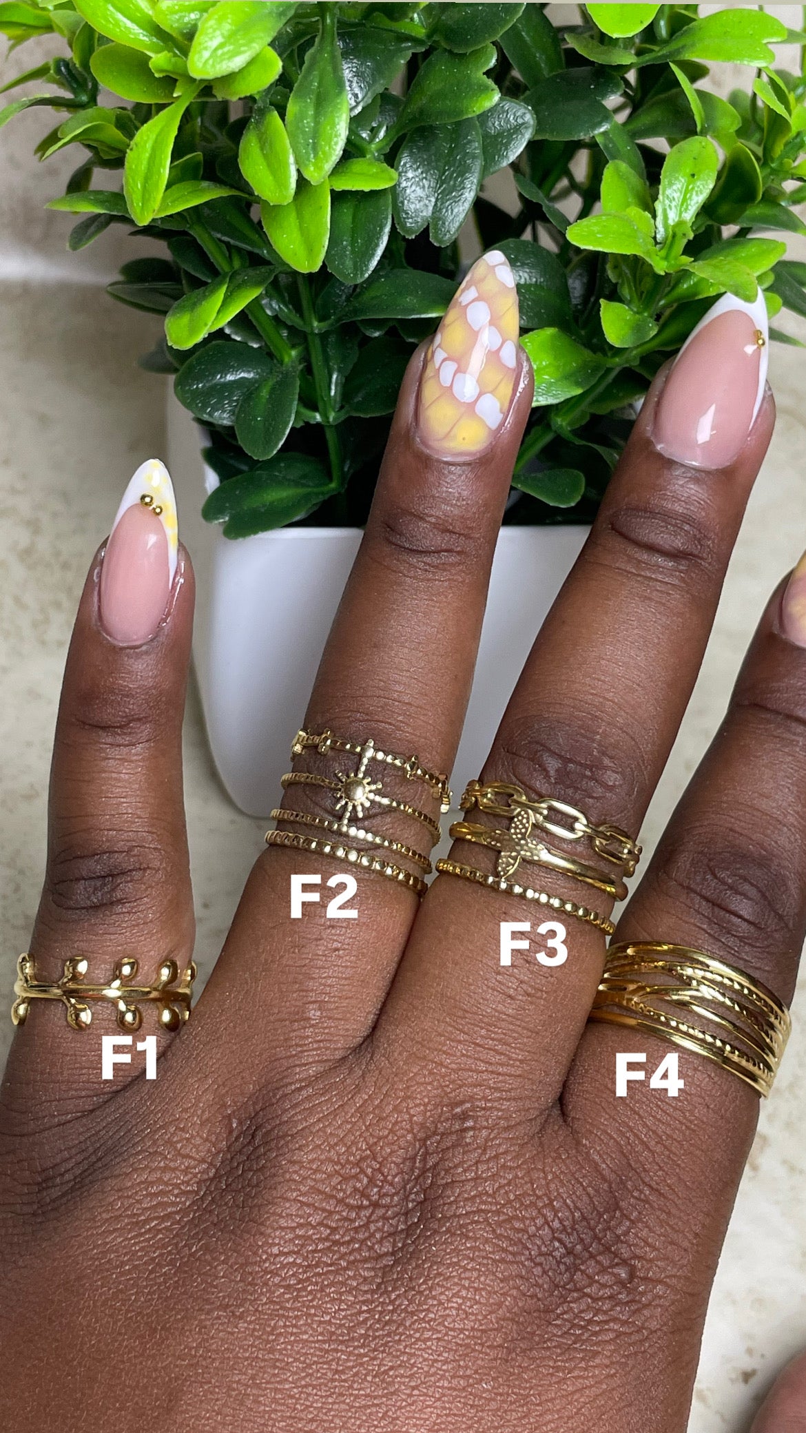 Collection F