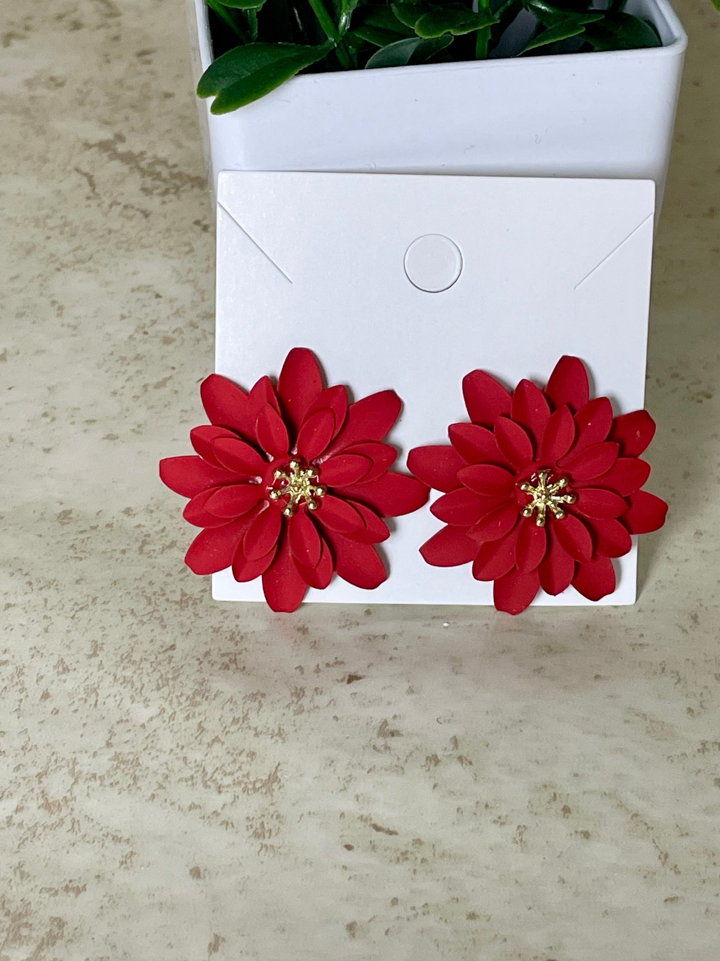 Poinsettia Bloom